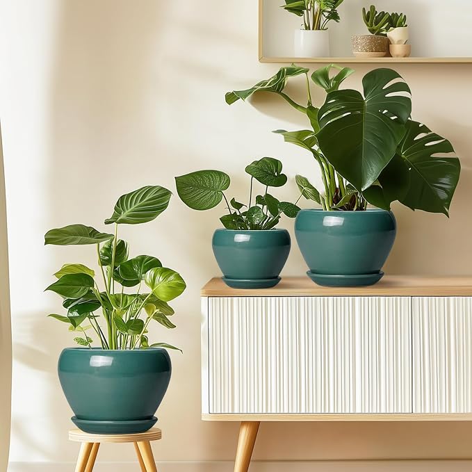 Ceramicfor Indoor Plant Pot 6 Inch - Image 8