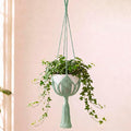 Shappy Boho Macrame Plant Hanger by Shappy