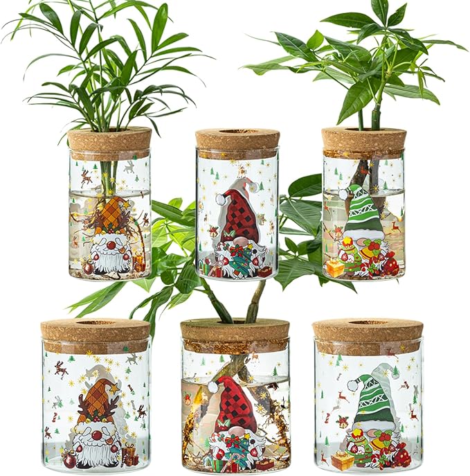 Christmas Vase, Christmas Themed Propagation Stations, Glass Propagation Vases by wangsdjy