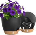 Self Watering Pots with Drainage Holes, 2 Pack 10 Inch Plant Pots with Water by KUGAZ