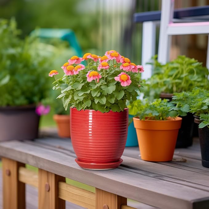 6 Inch Ceramic Plant Pot - Image 4