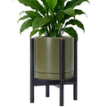 D'vine Dev Ceramic Pot with Ebony Wood Stand, 10 in, 55-B-L-J | Mid-Century by DvineDevPlanterPotsandStand