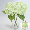 2Pcs 21in Latex Real Touch Hydrangea Artificial Flowers | Lifelike Large by MARTINEMALL