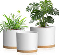 10/9/8 Inch Plant Pots 3 Pack, by Areutxbis