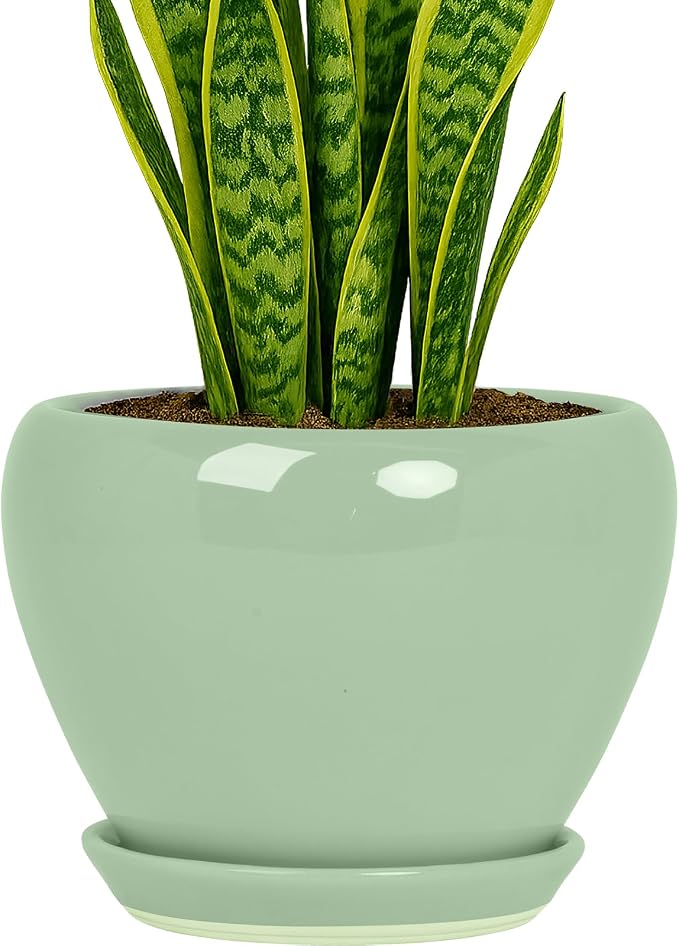 Deep Dream 8 Inch Plant Pots- Ceramic Pots by DeepDream
