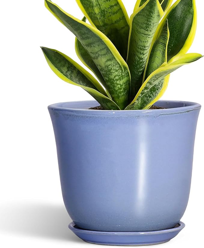 Ceramic Pots for Plants, 8 Inch Planter for Indoor, Modern Planter, Home Garden by SUNPOTFOR