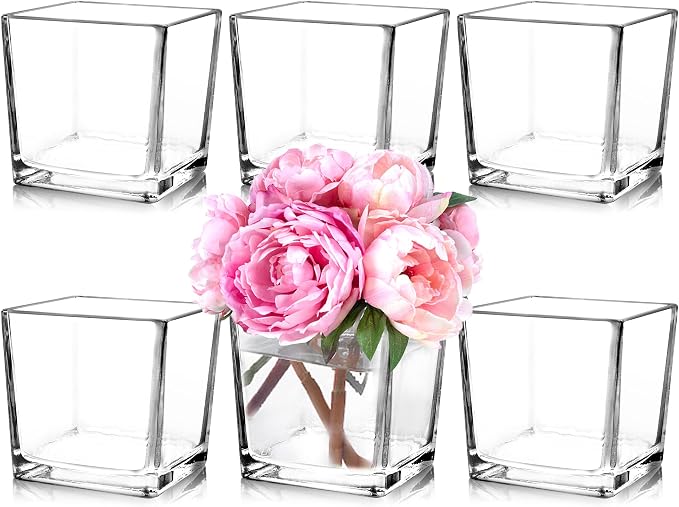 6 Pack Square Glass Vases 5" x5" x 5", Wedding Party Home Decor by Comrzor