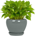 Deep Dream 6 Inch Plant Pots- Ceramic Planter Pot by DeepDream