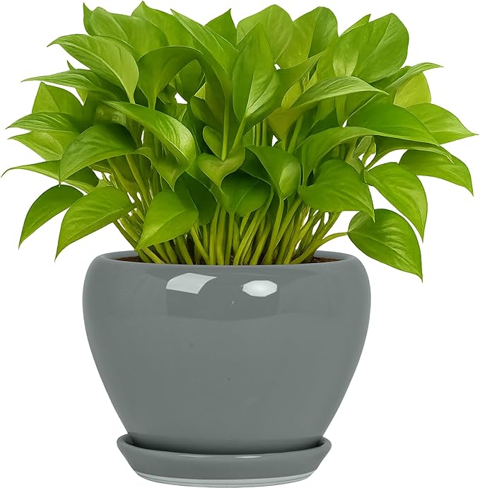 Deep Dream 6 Inch Plant Pots- Ceramic Planter Pot by DeepDream