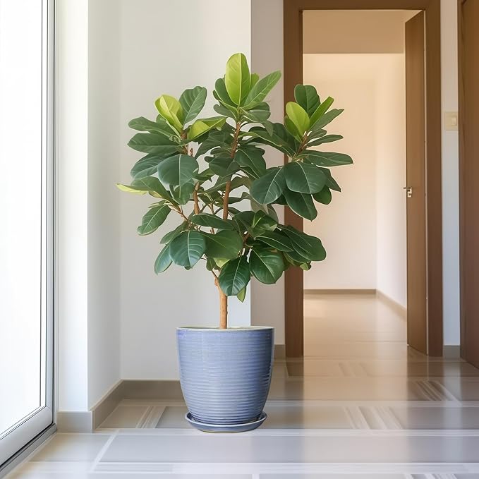 Ceramic Planter - Image 2