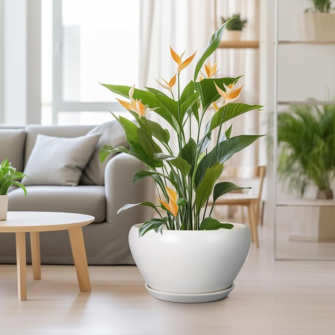 Ceramicfor Planter for Indoor Plants 13 Inch - Image 2