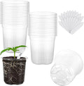 30 Pack Clear Nursery Plant Pots, 3.5 Inch by WandaQueen