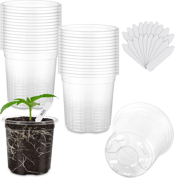 30 Pack Clear Nursery Plant Pots, 3.5 Inch by WandaQueen
