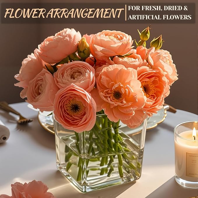 CONNOO 6 Pack 5" x 5" x 5" Clear Square Glass Vase - Image 3