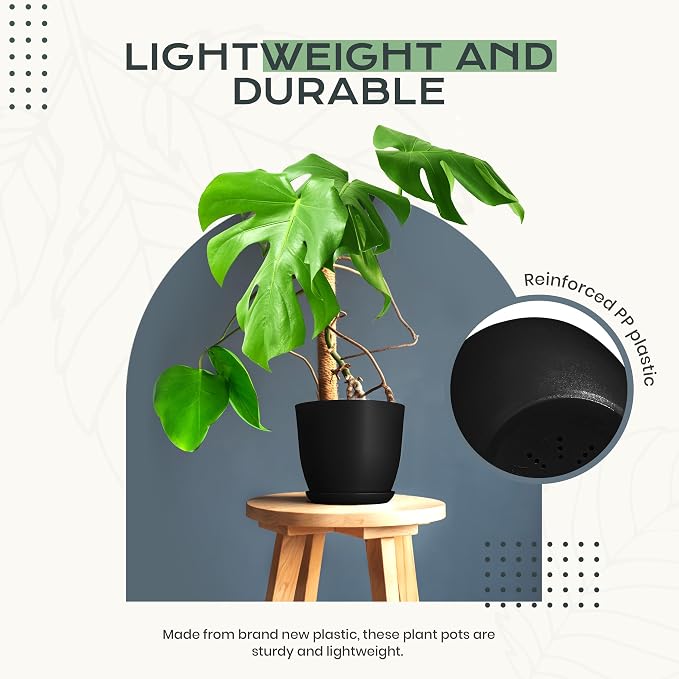 Plant Pots Indoor with Drainage, 10 Pack Multi-Size Planters Set - Image 6