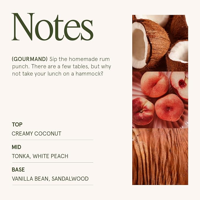 LA JOLIE MUSE Island Coconut Vanilla Scented Candles - Image 4