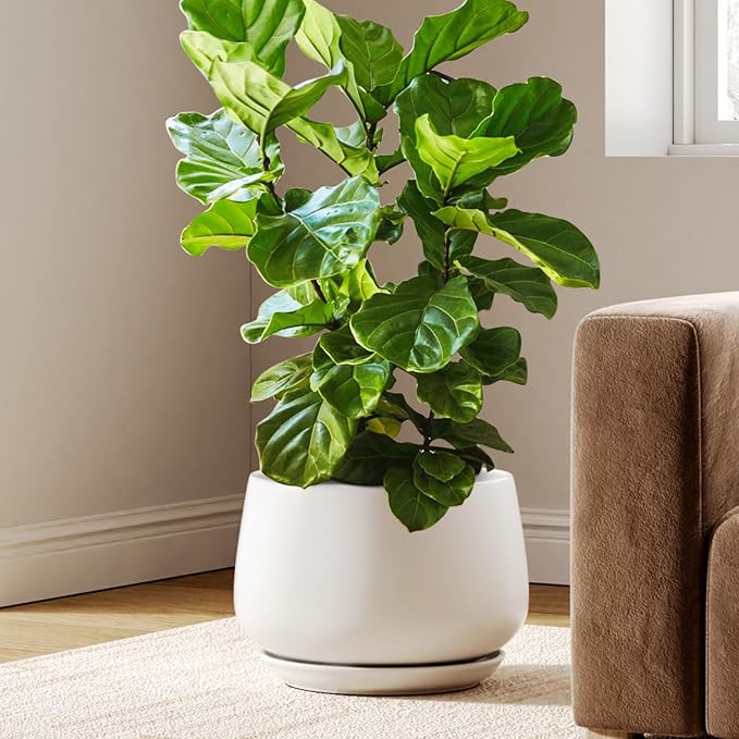 LE TAUCI Ceramic Planters, 12 Inch Pots by LETAUCI