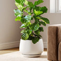 LE TAUCI Ceramic Planters, 12 Inch Pots by LETAUCI