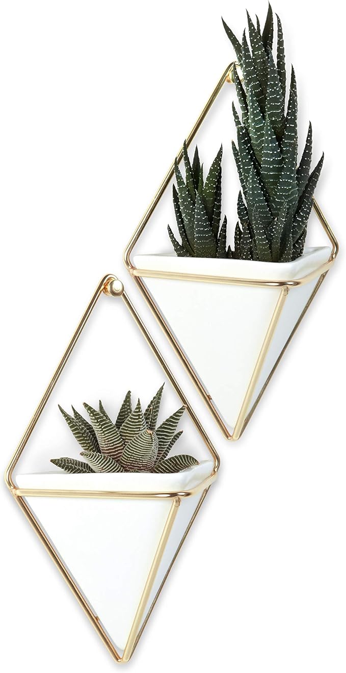 Umbra Trigg Hanging Planter for Small Plants - Image 12