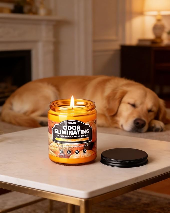 AOOVOO Pumpkin Spice Odor Eliminating Candle - 9 oz Fall Candles - Image 5