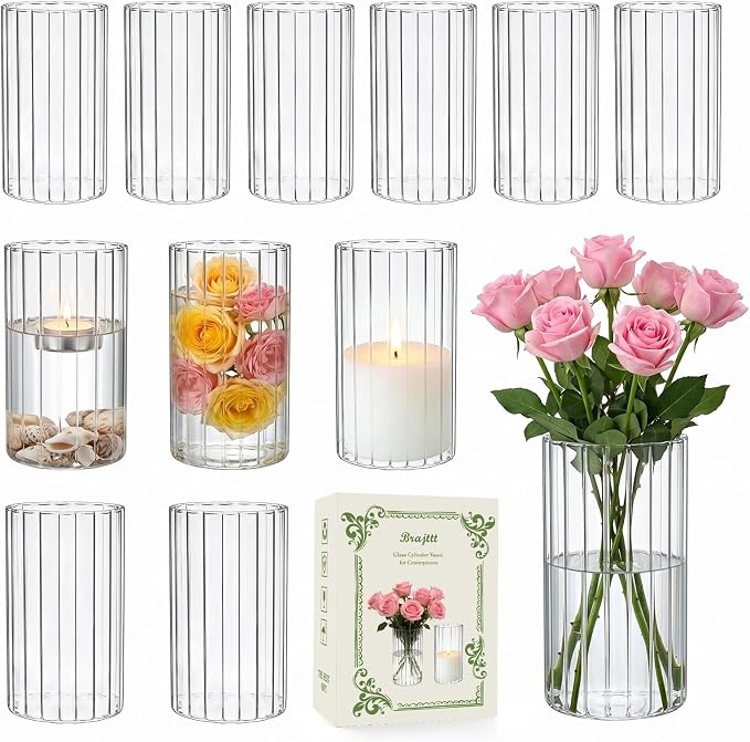 12 pcs Ribbed Glass Cylinder, 6 inch Flower Vases by Brajttt