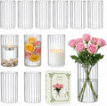 12 pcs Ribbed Glass Cylinder, 6 inch Flower Vases by Brajttt