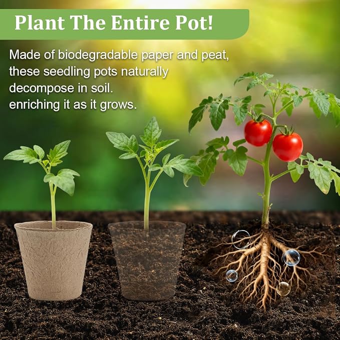 RooTrimmer 3.15 Inch Peat Pots 100 Pcs - Image 2