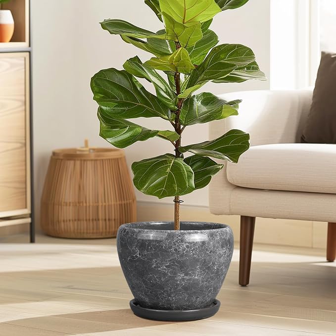 Ceramicfor 8 Inch Plant Pot - Image 2