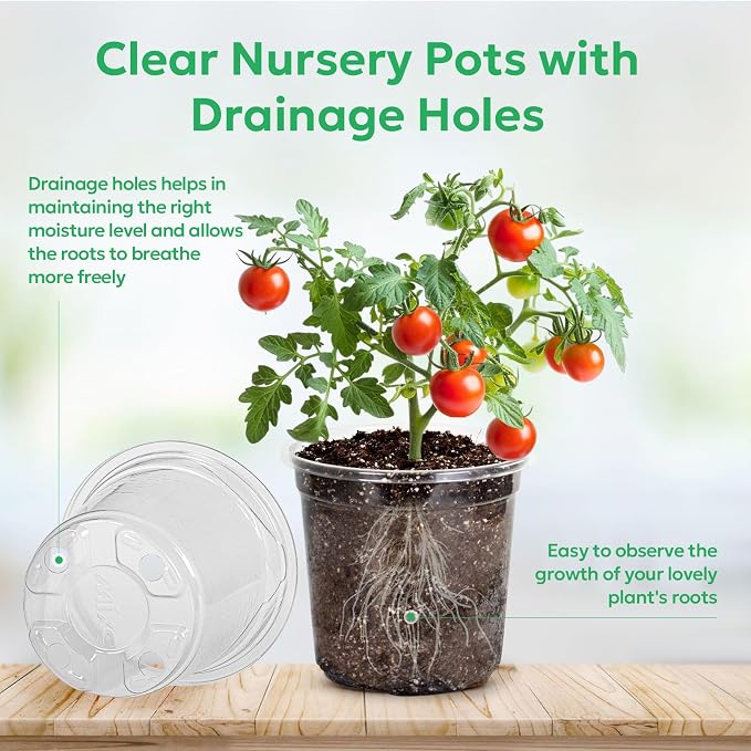 Bluepro Clear Nursery Pots - Image 3