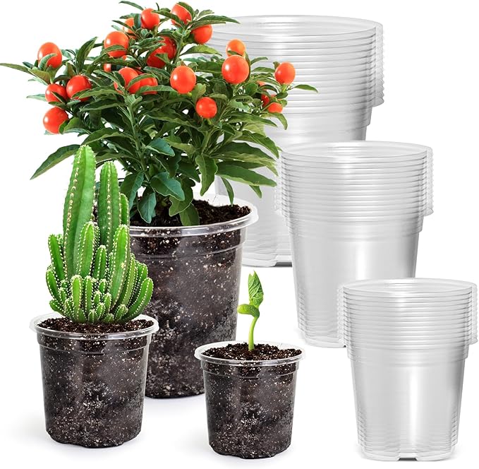 Bluepro Clear Nursery Pots by Bluepro