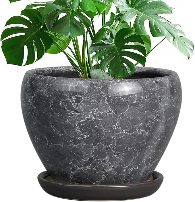 Ceramicfor Ceramic Planters for Indoor Plants by Ceramicfor