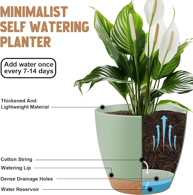QRRICA Plant Pots 8/7/6.5/6/5.5/5 Inch Self Watering Pots, Plastic Flower Pots - Image 4