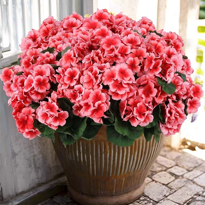 Hananona 6 Pcs Artificial Geranium Flowers by HANANONA