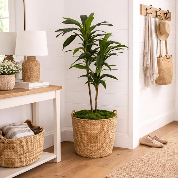 Nearly Natural 48 in Artificial Dracaena Real Touch Plant - Image 11