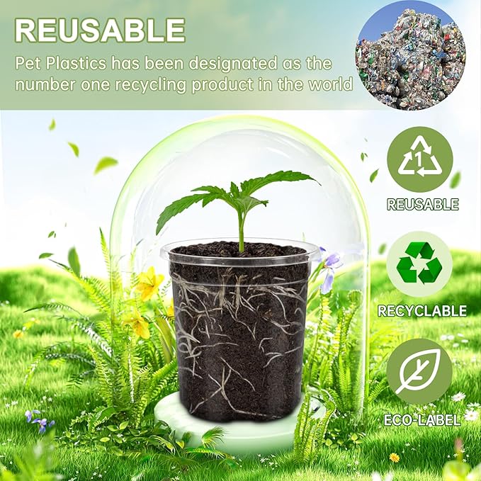 30 Pack Clear Nursery Plant Pots, 3.5 Inch - Image 6