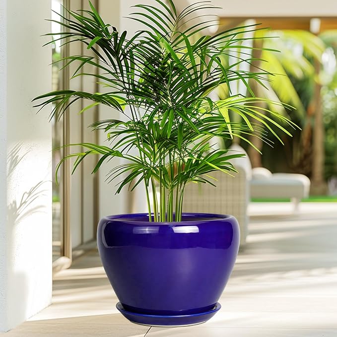 Ceramicfor Ceramic Planter 10 Inch, Indoor Plant Pot - Image 4