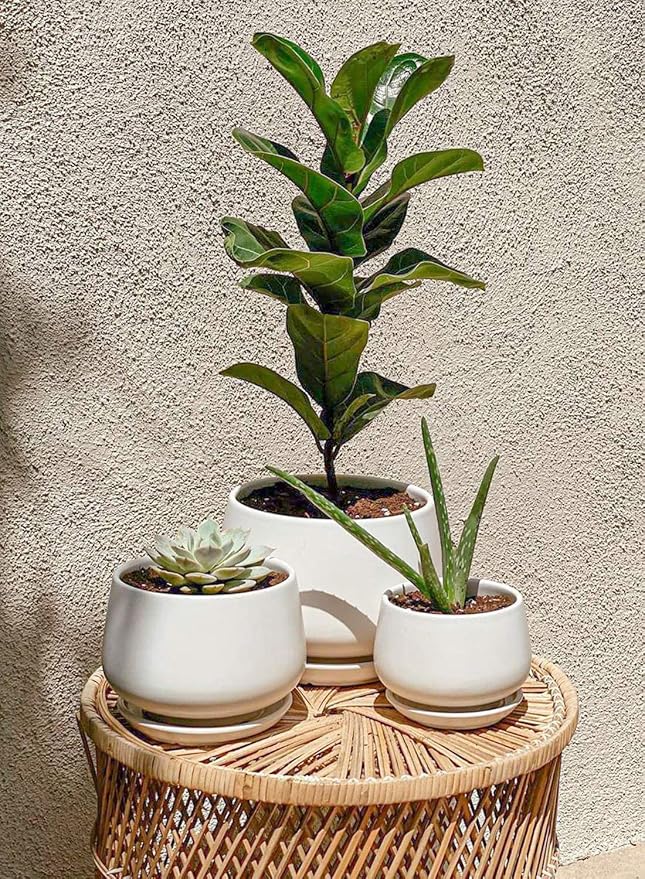 LE TAUCI Ceramic Plant Pots, 4.1+5.1+6.5 inch, Planters - Image 2