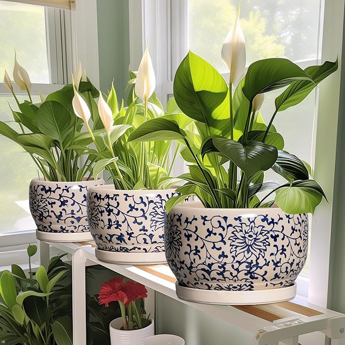 SQOWL Ceramic Planters for Indoor Plants - Image 6