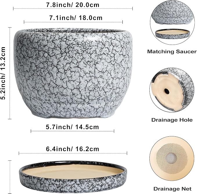 SQOWL 8 inch Plant Pot - Image 3