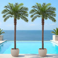 8.5FT Artificial Coconut Palm Set of 2, Potted Faux Palm Tree | Tropical Fake by FloraFairy-StylishArtificialPlantsandPlanter