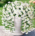 Artificial Faux Hanging Flowers Plants by HyeFloraartificialflowers