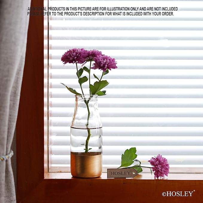 Hosley Set of 6 Glass Flower Vases - Image 3