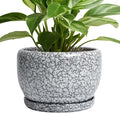 SQOWL 8 inch Plant Pot by SQOWL