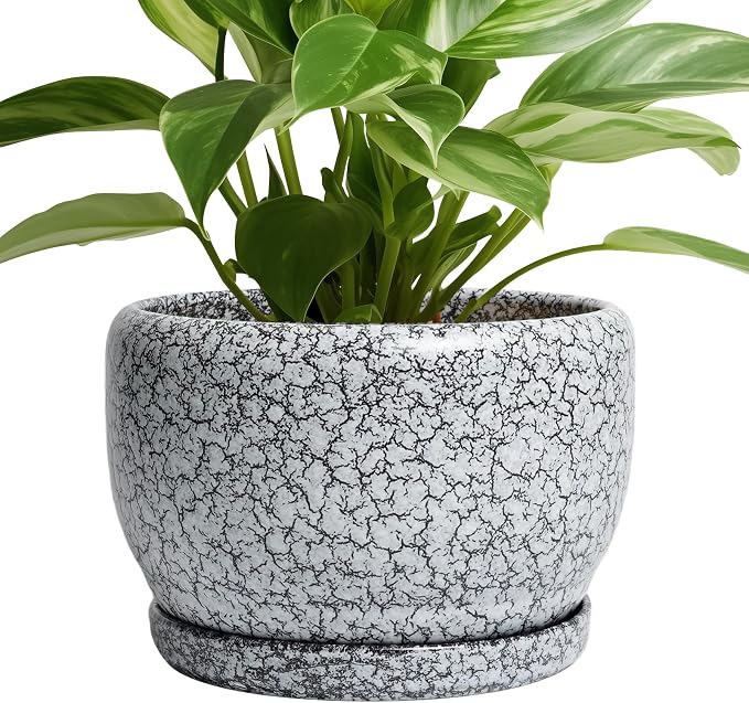 SQOWL 8 inch Plant Pot by SQOWL