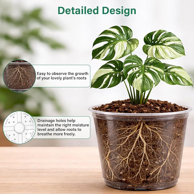 Bluepro Clear Nursery Pots - Image 3