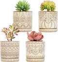 Gepege Ceramic Succulent Pots, 4 Inch Small Plant Pots by Gepege