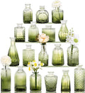 18pcs Green Glass Bud Vase Set, Small Flower Vases by Fixwal