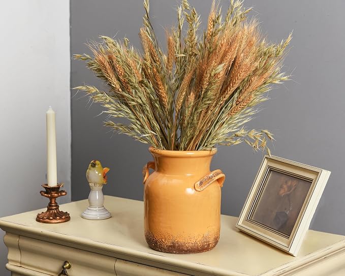 Quoowiit Ceramic Rustic Farmhouse Vase, Distressed Decorative Flower Vases - Image 5