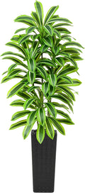 Artificial Dracaena Tree: 7FT Fake Plants Silk Faux Trees（Black Pot） | by TNGGNT