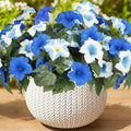 Artificial Flowers for Outdoors, Faux Petunias Spring Summer Decoration by ArtistryThatNeverWithers